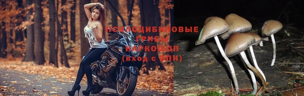 кристаллы Алексеевка