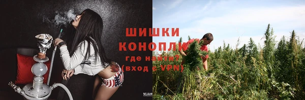 твердый Алексин